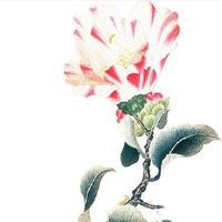 2022年5月16日是开工好日子吗 农历四月十五是不是吉日