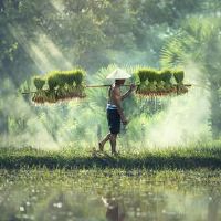 我如何在5月1日劳动节用英语说？它在2022年5月1日免费收费吗？