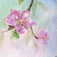 2022年5月19日提车好吗 农历四月十八是上牌日子吗