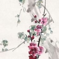 陕A和陕U的区别 最吉利车牌数字号码盘点