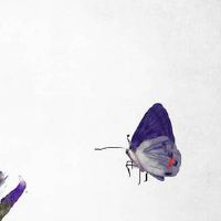 2011年属兔女一生学业运势如何 成绩尚佳能力一流