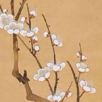 好听的日用品店铺名称 新店取寓意大吉的名称