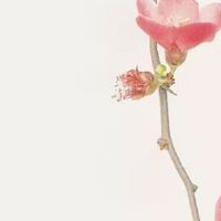 怎么算自己的夫妻宫 如何看自己的夫妻宫