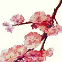 龙抬头 会同窗 端起酒 全喝光 是什么意思