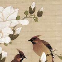 属鼠男的最佳婚配属相 生肖鸡与鼠感情和和美美