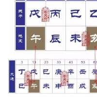 八字地支亥五行属什么?