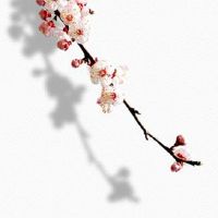 八字婚姻宫在哪个位置 生辰八字婚姻宫解析