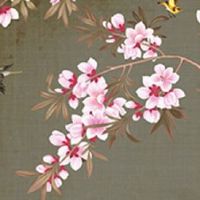 10个簸箕的男人是凤命 可得财禄一生发达