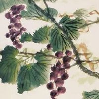 农机专业合作社名字大全 公司起名独一无二