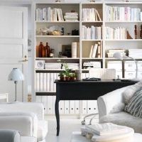 什么是适合家庭风水的植物?