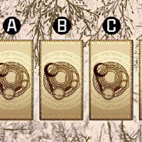 塔罗牌是一个测试，你能嫁给你，你能像你想的那么幸福吗？