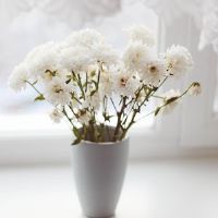 最有可能制作12颗星的女性为离婚产生小东西