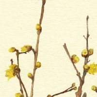 车牌888豹子号值多少钱 旺运旺事业的号码盘点