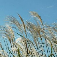 婴儿出生于2018年的名字是什么?宝宝是生命吗?