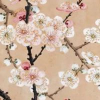 五行穿衣|2022年5月12日教你穿出好运来