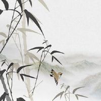 本命年虎年穿红色有什么讲究 本命年正确穿红能招财旺运