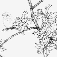 超级富豪的痣相 耳朵有痣一生不会为钱发愁