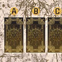 在塔罗牌测试中,你遇到了什么?