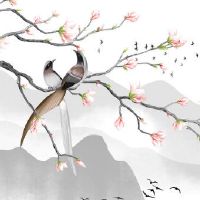 姻缘星有几个最好 两颗姻缘星前世注定寓意