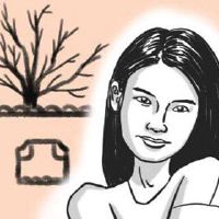 女人耳朵的最Quasi-Picture可以拥有丰富的订购生活。