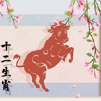 2月20日的牛市如何生活？