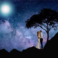 猴子男女比赛比赛