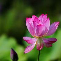 在夏季出生的男孩被命名为全额免费名称2021