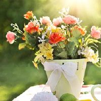 超级好，朋友，最多的星座