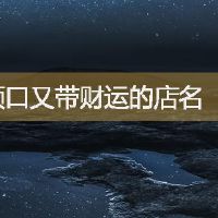 好听顺口又带财运的店名