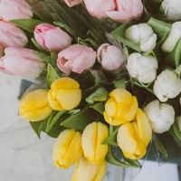 订婚择吉:2022年5月24日是提亲订婚好日子吗