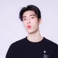 收入不高，但我知道如何弥补四个星座，它被称为“愚蠢的鸟！”