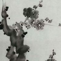 4个5555的车牌值多少钱 最旺财的车牌号码