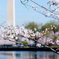 1965年属蛇男人对感情的态度 多沟通才能走得更久