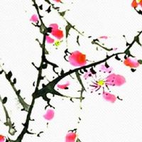 夫妻宫代表的是自己还是配偶 紫微斗数夫妻宫代表什么