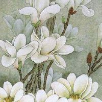 赚钱能力强的女人面相 额头平满丰隆