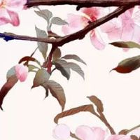 五行穿衣每日分享:2022年5月23日穿什么颜色提运