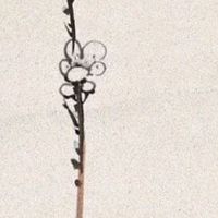 长流水命吉祥数字是多少 适合用什么手机号码