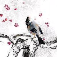 印星旺的男命特点是啥?