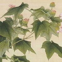 狮子座车牌号怎么选择 数理吉祥的车牌号码盘点