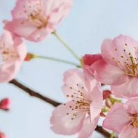 1965年属蛇人晚年命运 美满的晚年生活