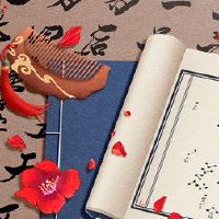 大老大的紫色微碗紫色微明星