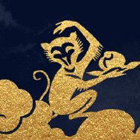 80年的猴子幸运微信明星图片莲花白鸽带来祝好运