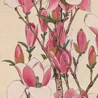 1986年属虎人一生的运势 职场上可大展身手