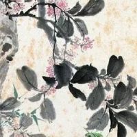 金牛座车牌号码多少是吉祥 能发财的吉利尾号