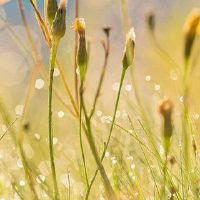 八个字符的诞生来看看金钱的类型