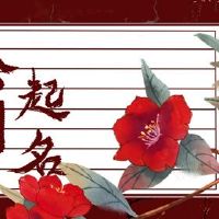 拟合公司名称Daquan 2022的繁荣