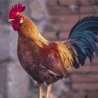 如何出生于2005年