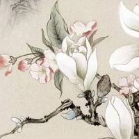 新车牌号码测吉凶打分 81数理看最吉车牌号