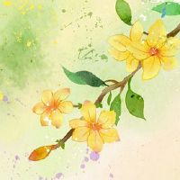 本命年姐姐送弟弟什么礼物 本命年姐姐送弟弟红衣能躲灾