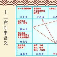 紫微斗数乙级星曜:天月星